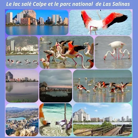 Paradis Апартаменты Кальпе